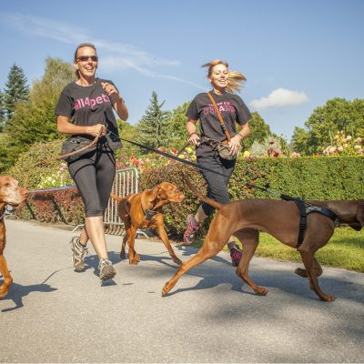 Die ideale Vorbereitung für Ihren Hund