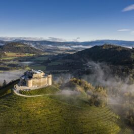 TAGGENBRUNN – KULINARIK, WEIN, ERLEBNISS